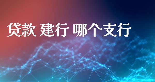 贷款 建行 哪个支行_https://wap.sdxiaoxijinshu.com_理财_第1张