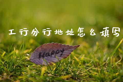 工行分行地址怎么填写_https://wap.sdxiaoxijinshu.com_金融_第1张