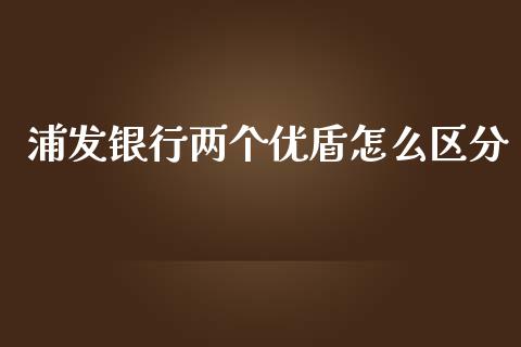 浦发银行两个优盾怎么区分_https://wap.sdxiaoxijinshu.com_金融_第1张
