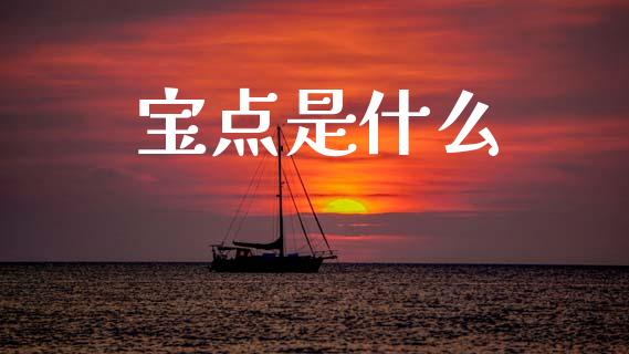 宝点是什么_https://wap.sdxiaoxijinshu.com_理财_第1张