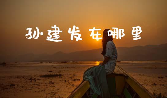 孙建发在哪里_https://wap.sdxiaoxijinshu.com_金融_第1张