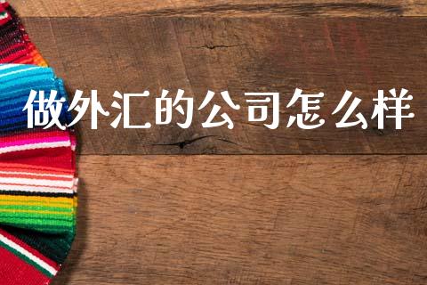 做外汇的公司怎么样_https://wap.sdxiaoxijinshu.com_财经_第1张