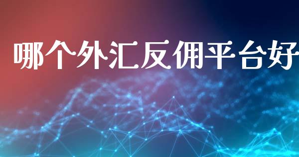 哪个外汇反佣平台好_https://wap.sdxiaoxijinshu.com_财经_第1张