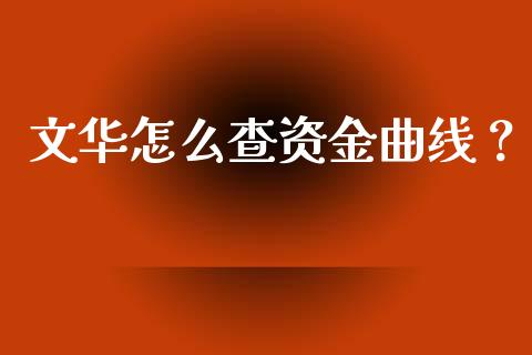 文华怎么查资金曲线？_https://wap.sdxiaoxijinshu.com_期货_第1张