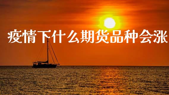 疫情下什么期货品种会涨_https://wap.sdxiaoxijinshu.com_期货_第1张