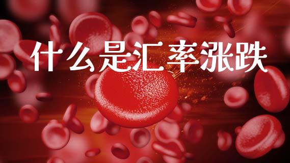 什么是汇率涨跌_https://wap.sdxiaoxijinshu.com_财经_第1张
