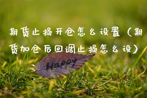期货止损开仓怎么设置（期货加仓后回调止损怎么设）_https://wap.sdxiaoxijinshu.com_金融_第1张