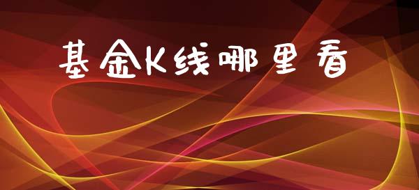 基金K线哪里看_https://wap.sdxiaoxijinshu.com_理财_第1张