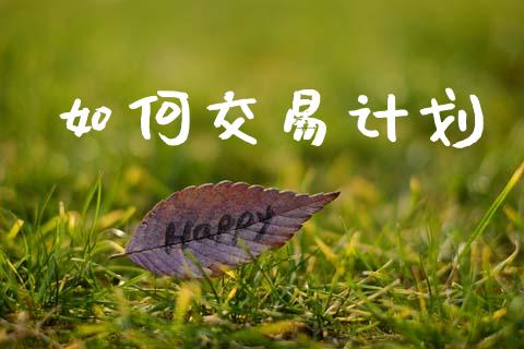如何交易计划_https://wap.sdxiaoxijinshu.com_财经_第1张