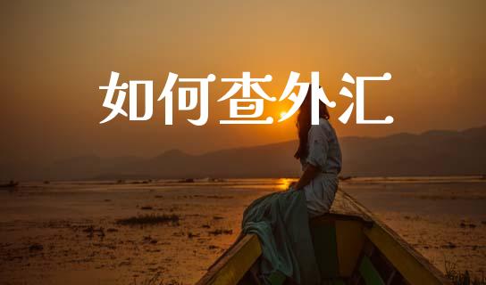 如何查外汇_https://wap.sdxiaoxijinshu.com_财经_第1张