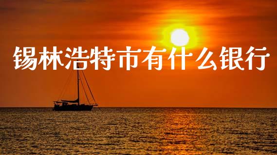 锡林浩特市有什么银行_https://wap.sdxiaoxijinshu.com_期货_第1张