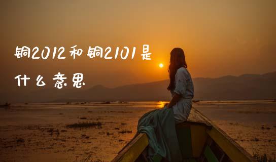 铜2012和铜2101是什么意思_https://wap.sdxiaoxijinshu.com_财经_第1张