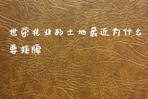世荣兆业的土地最近为什么要挂牌_https://wap.sdxiaoxijinshu.com_理财_第1张
