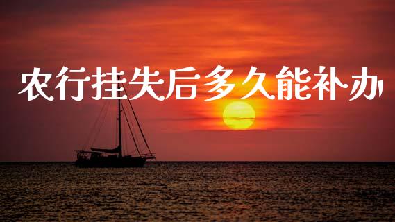 农行挂失后多久能补办_https://wap.sdxiaoxijinshu.com_理财_第1张