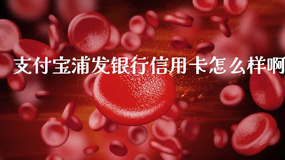 支付宝浦发银行信用卡怎么样啊_https://wap.sdxiaoxijinshu.com_理财_第1张