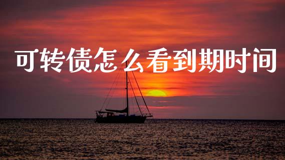 可转债怎么看到期时间_https://wap.sdxiaoxijinshu.com_期货_第1张