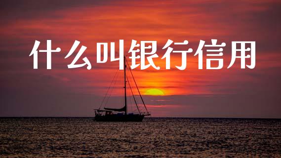 什么叫银行信用_https://wap.sdxiaoxijinshu.com_金融_第1张