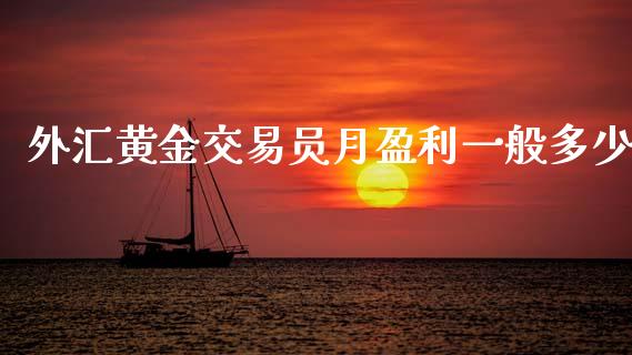 外汇黄金交易员月盈利一般多少_https://wap.sdxiaoxijinshu.com_财经_第1张