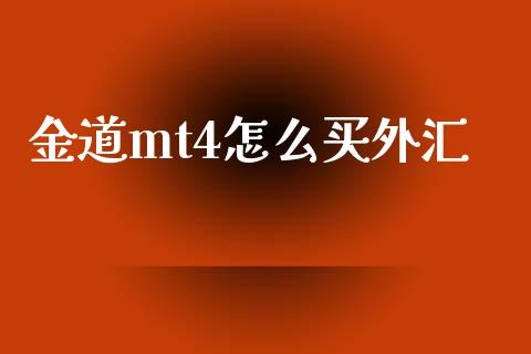 金道mt4怎么买外汇_https://wap.sdxiaoxijinshu.com_理财_第1张