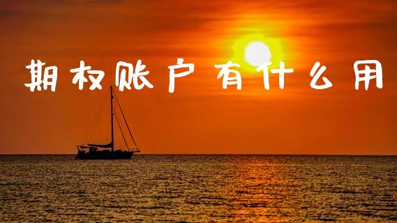 期权账户有什么用_https://wap.sdxiaoxijinshu.com_期货_第1张