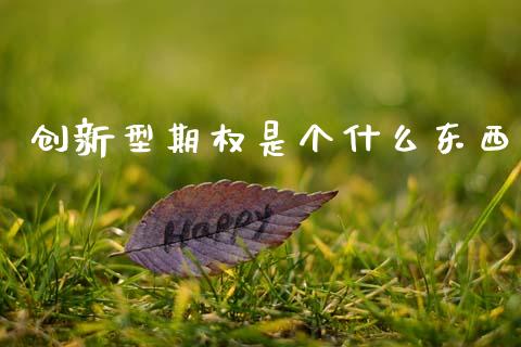 创新型期权是个什么东西_https://wap.sdxiaoxijinshu.com_期货_第1张