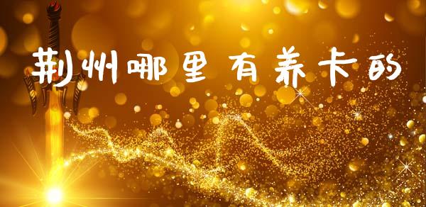荆州哪里有养卡的_https://wap.sdxiaoxijinshu.com_理财_第1张