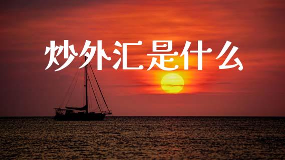 炒外汇是什么_https://wap.sdxiaoxijinshu.com_财经_第1张