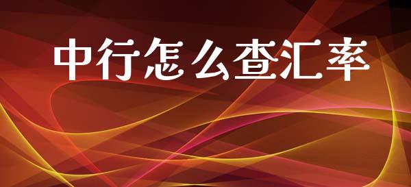 中行怎么查汇率_https://wap.sdxiaoxijinshu.com_财经_第1张