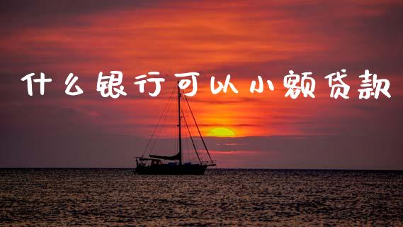 什么银行可以小额贷款_https://wap.sdxiaoxijinshu.com_金融_第1张