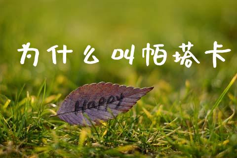为什么叫帕塔卡_https://wap.sdxiaoxijinshu.com_财经_第1张