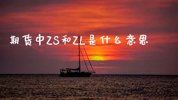 期货中ZS和ZL是什么意思_https://wap.sdxiaoxijinshu.com_金融_第1张