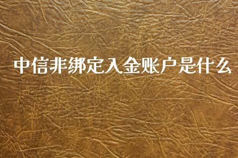 中信非绑定入金账户是什么_https://wap.sdxiaoxijinshu.com_期货_第1张