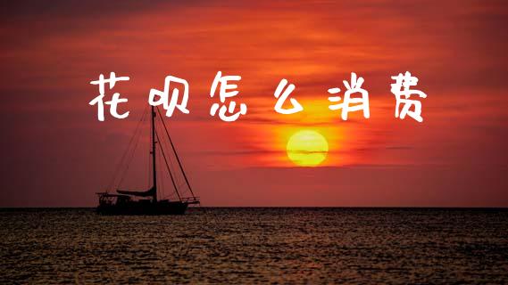 花呗怎么消费_https://wap.sdxiaoxijinshu.com_理财_第1张