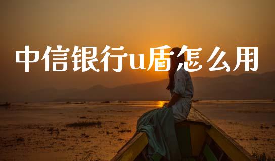 中信银行u盾怎么用_https://wap.sdxiaoxijinshu.com_金融_第1张