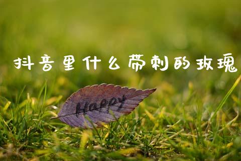 抖音里什么带刺的玫瑰_https://wap.sdxiaoxijinshu.com_期货_第1张