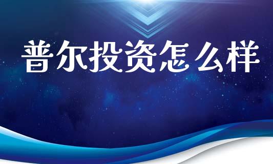 普尔投资怎么样_https://wap.sdxiaoxijinshu.com_理财_第1张