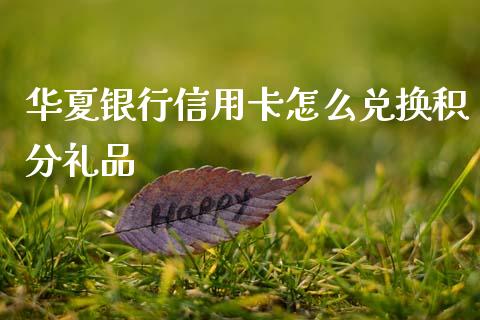 华夏银行信用卡怎么兑换积分礼品_https://wap.sdxiaoxijinshu.com_金融_第1张