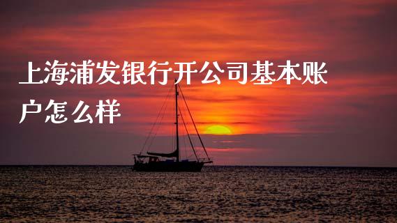 上海浦发银行开公司基本账户怎么样_理财_第1张_金融万问站 上海浦发银行开公司基本账户怎么样_https://wap.sdxiaoxijinshu.com_理财_第1张