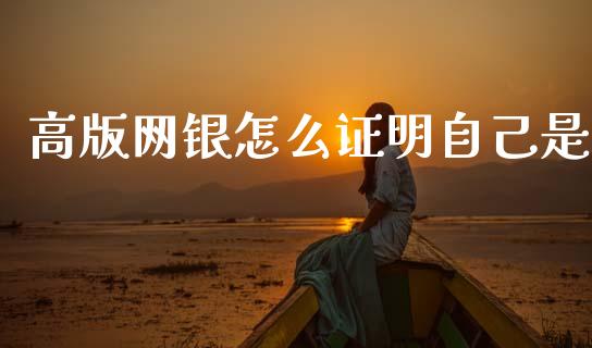 高版网银怎么证明自己是_https://wap.sdxiaoxijinshu.com_理财_第1张