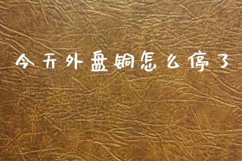 今天外盘铜怎么停了_https://wap.sdxiaoxijinshu.com_期货_第1张