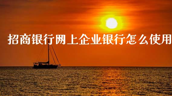 招商银行网上企业银行怎么使用_https://wap.sdxiaoxijinshu.com_金融_第1张
