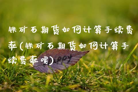 铁矿石期货如何计算手续费率(铁矿石期货如何计算手续费率呢)_https://wap.sdxiaoxijinshu.com_期货_第1张