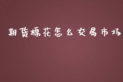 期货棉花怎么交易市场_https://wap.sdxiaoxijinshu.com_期货_第1张