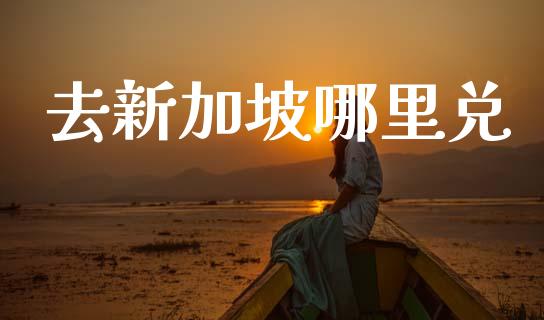 去新加坡哪里兑_https://wap.sdxiaoxijinshu.com_财经_第1张