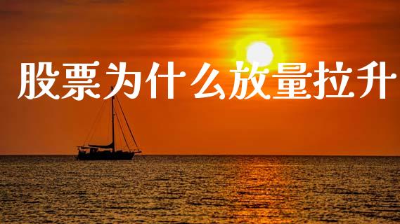 股票为什么放量拉升_https://wap.sdxiaoxijinshu.com_理财_第1张