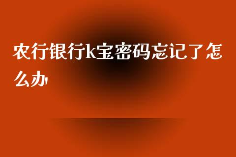 农行银行k宝密码忘记了怎么办_https://wap.sdxiaoxijinshu.com_理财_第1张