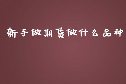 新手做期货做什么品种_https://wap.sdxiaoxijinshu.com_期货_第1张