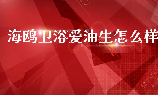 海鸥卫浴爱油生怎么样_https://wap.sdxiaoxijinshu.com_期货_第1张