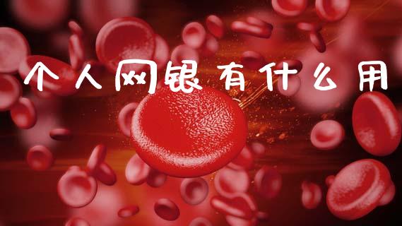 个人网银有什么用_https://wap.sdxiaoxijinshu.com_金融_第1张