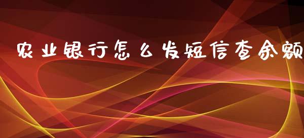 农业银行怎么发短信查余额_https://wap.sdxiaoxijinshu.com_财经_第1张